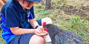 Tiere füttern auf dem Bauernhof